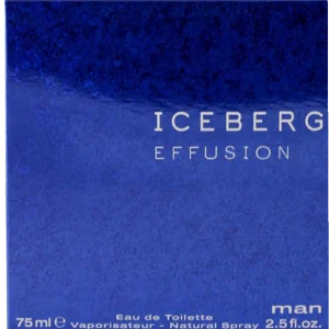 Iceberg Effusion, EdT 75 Ml 7