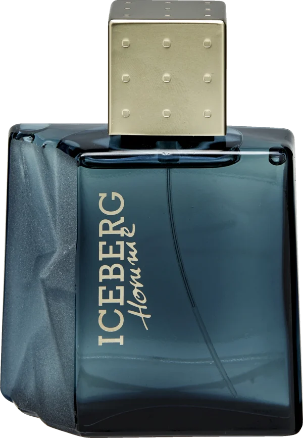 Iceberg Homme For Him, EdT 100 Ml 1