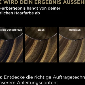 Garnier Olia Highlights Für Braunes Haar 14