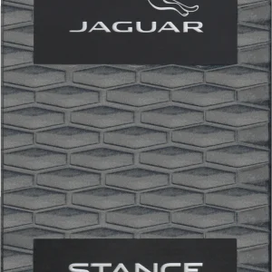 Jaguar Stance, EdT 100 Ml 10