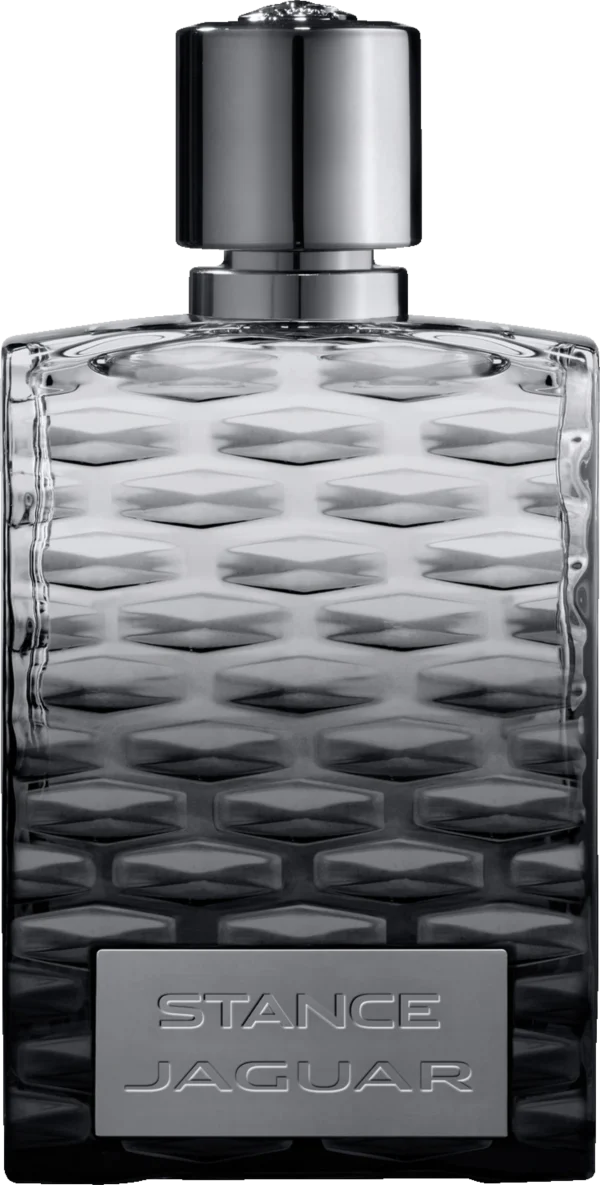 Jaguar Stance, EdT 100 Ml 1